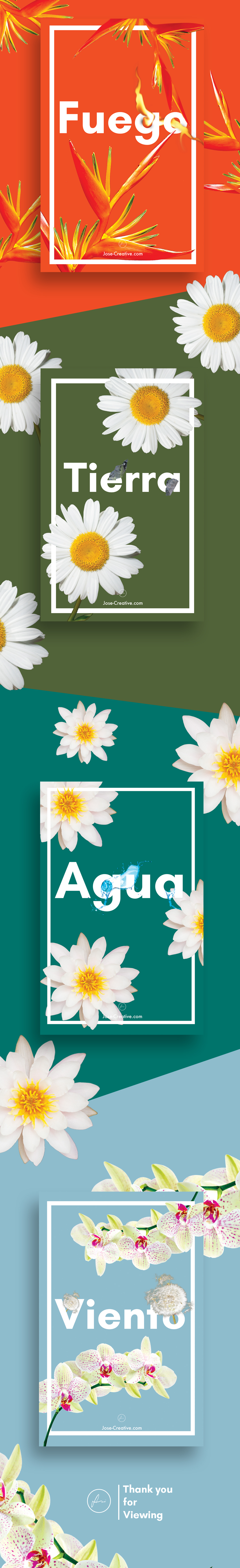 poster spanish elementos elements art design colors flower