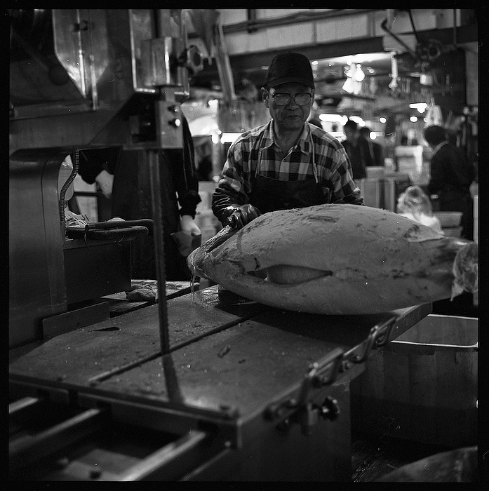 tsukiji japan tokyo fish fishmarket fishmonger tuna maguro