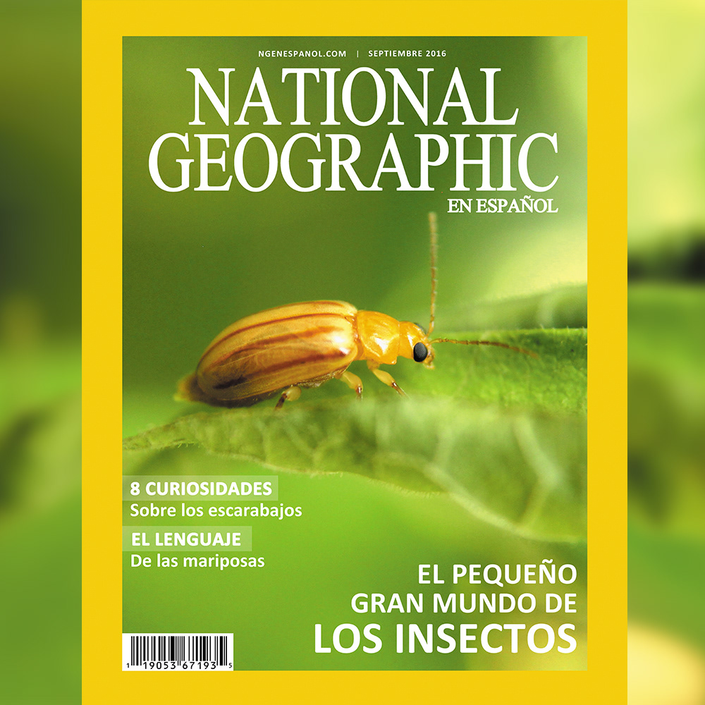 Portada de revista revista de animales revista de insectos revista