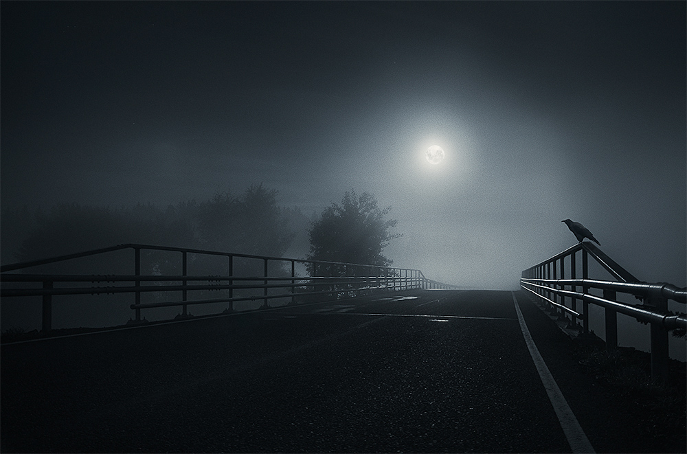 night Day mist fog dark mood Moody atmosphere atmospheric mikko lagerstedt photo photos pictures