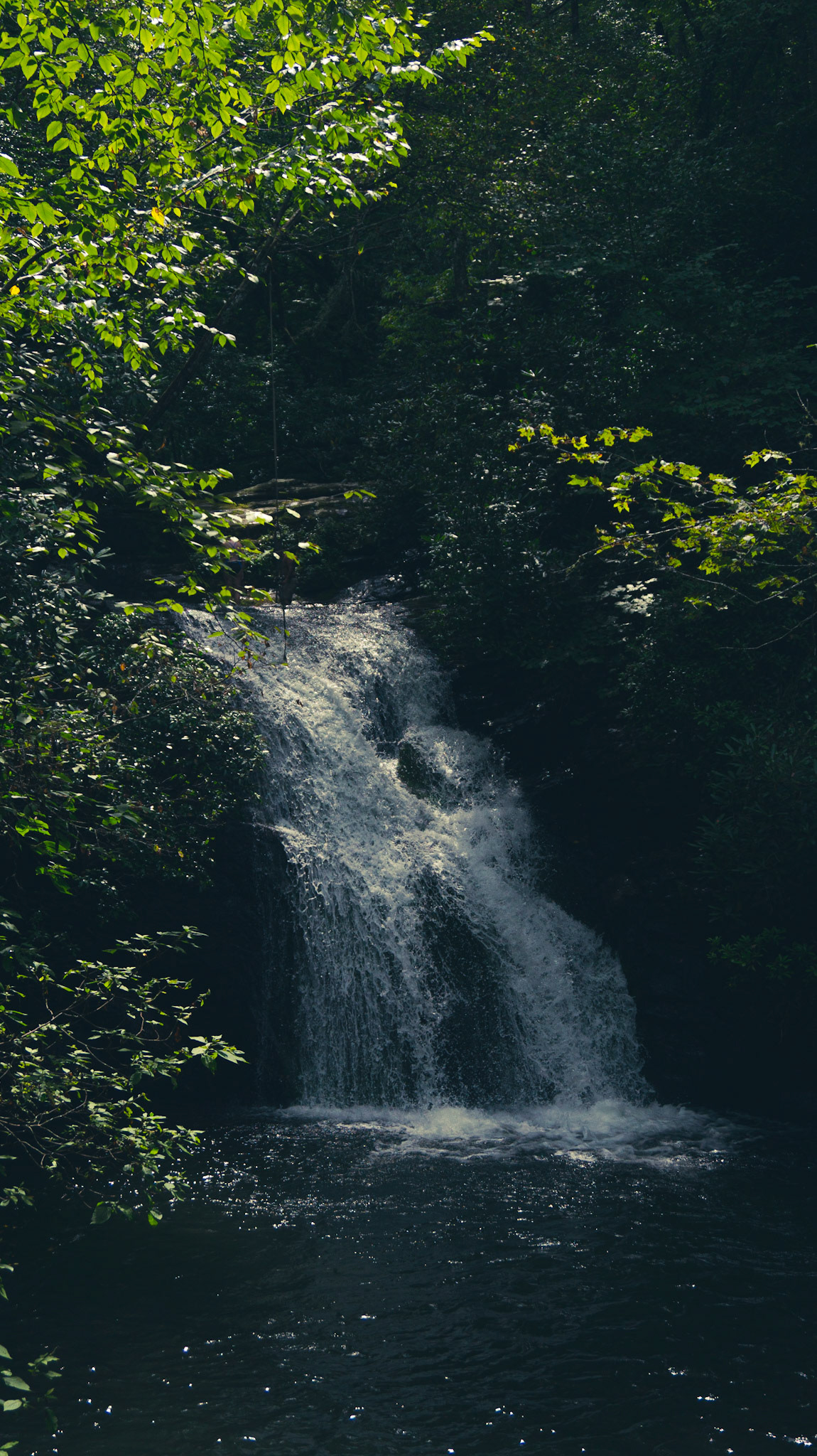 explore Georgia hiking Nature Photography  usa wander water waterfall