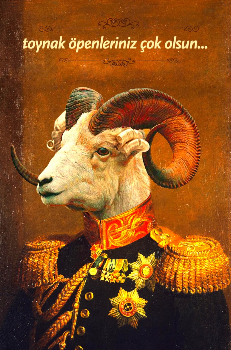 marshal goat