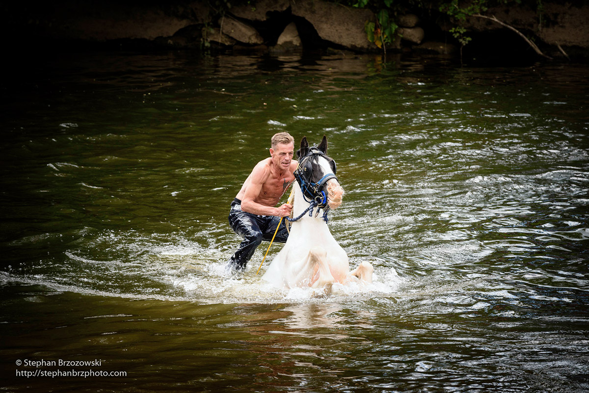 Adobe Portfolio horses Appleby-in-Westmorland Eden Valley cumbria Appleby Horse-Fair River Eden Fair Hill flashing lane Trotting Lane