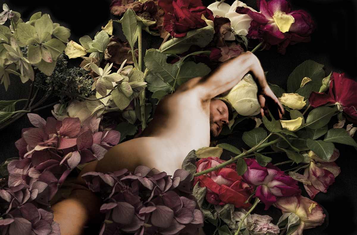 Flowers floral Roses Dried Flowers male nude fantasy conceptual compositing rose