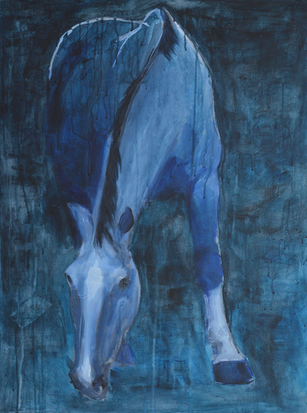 horse figurative acrylics animals equine