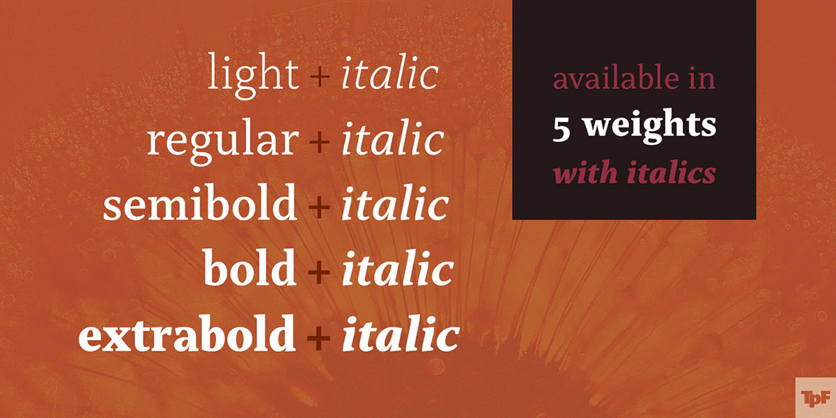 typefolio typedesign capitolina fonts serif Typeface
