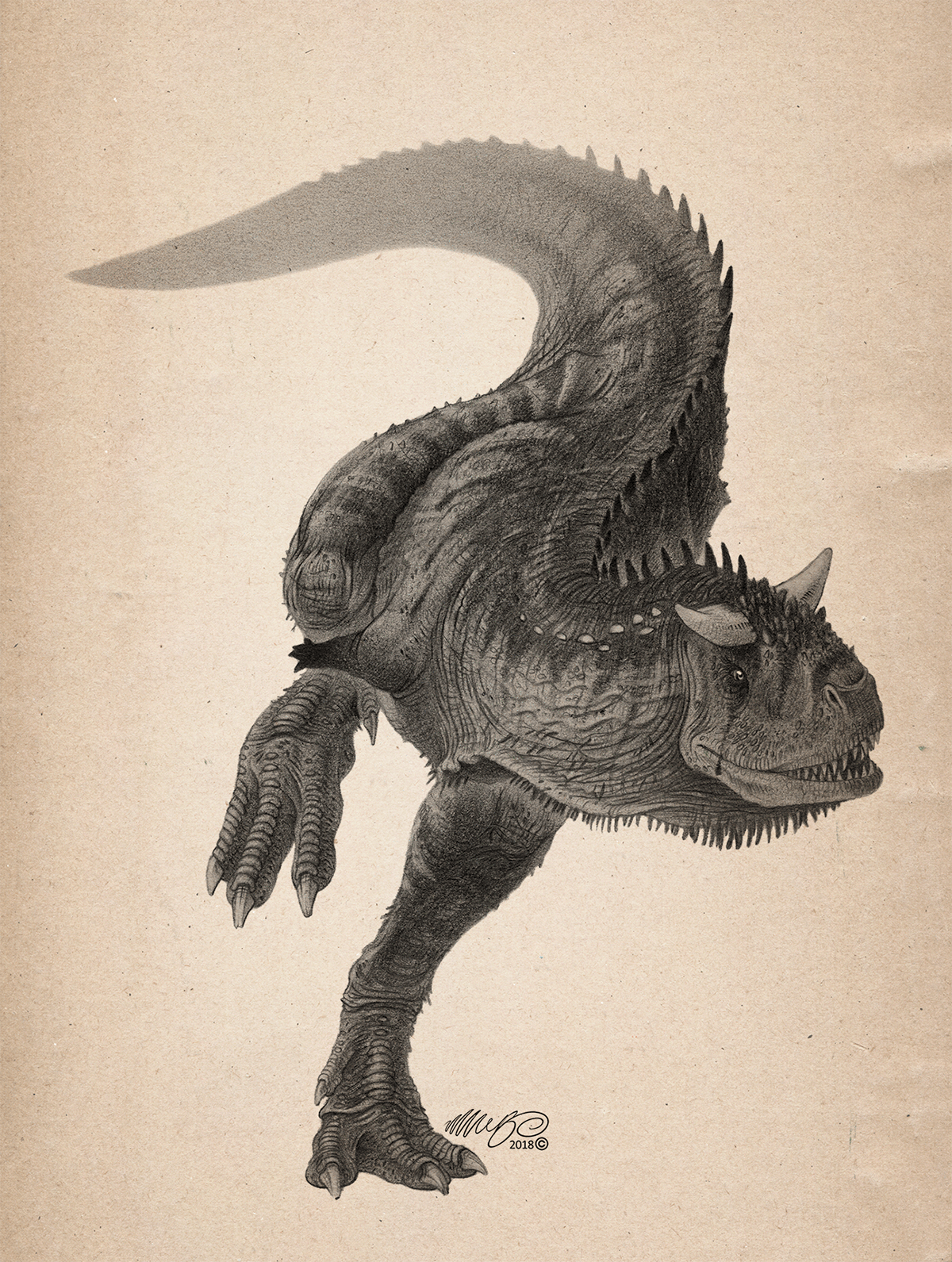 black and white carnotaurus Dinosaur Drawing  graphite monochrome Nature pencil Realism sketch