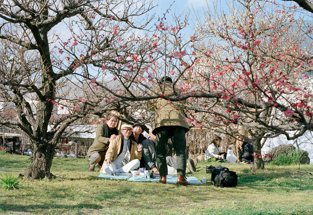 Adobe Portfolio japan lightbox foliage blossoms kansai spring photographers picnics