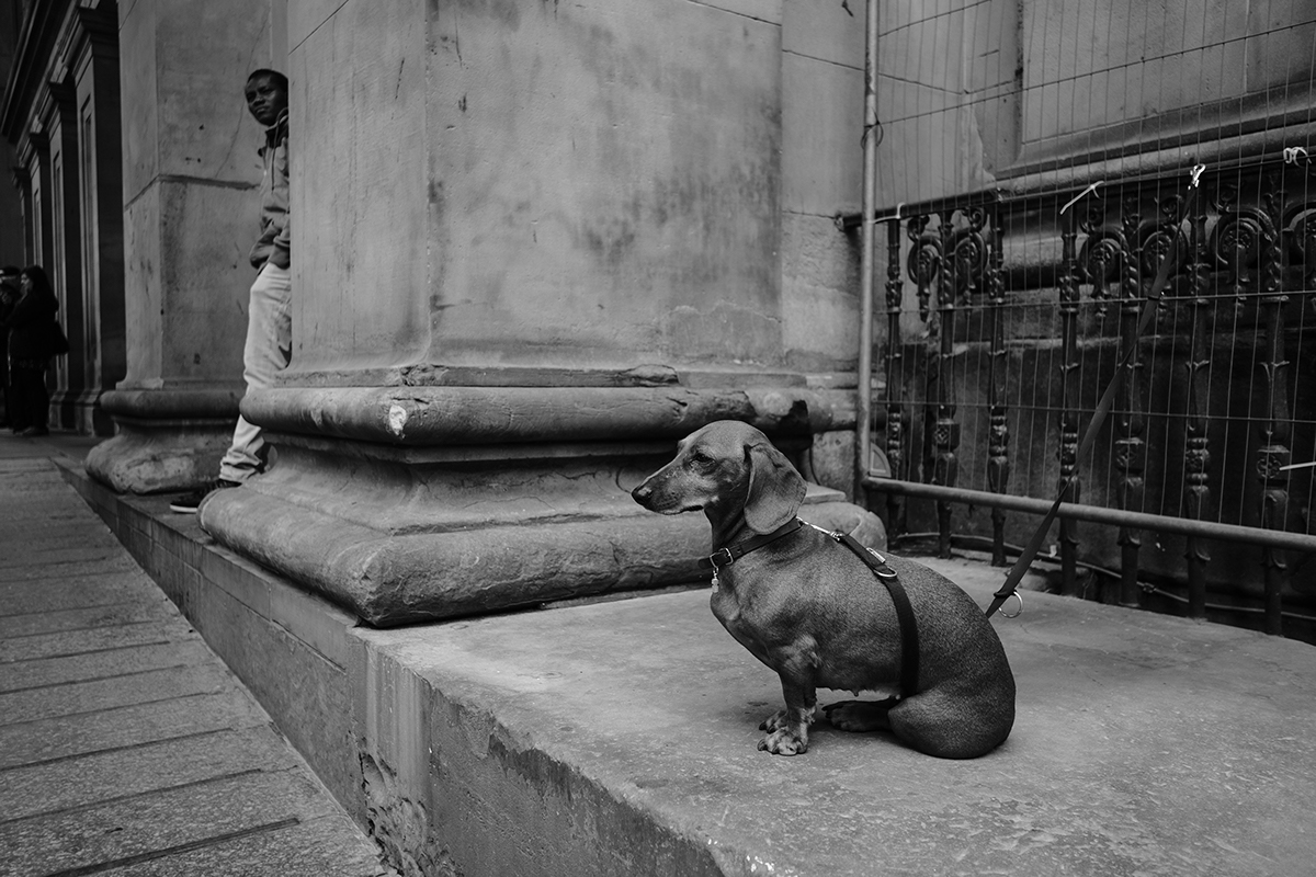 Adobe Portfolio Street Photography  glasgow Paris edinburgh