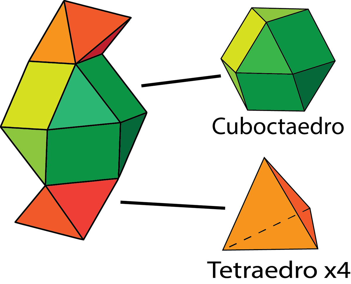Morphology morfologia geometria poligonos poliedros Polyhedron morfología especial curves continuidad continuity