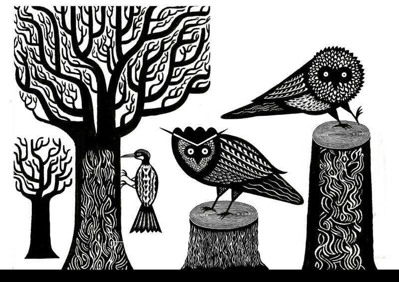 woodland owls Nature forest woodcut style birds ink drawings