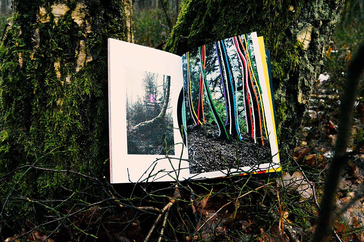rocketandwink german inthewoods ILLUSTRATION  collages Nature forrest trail Hike design