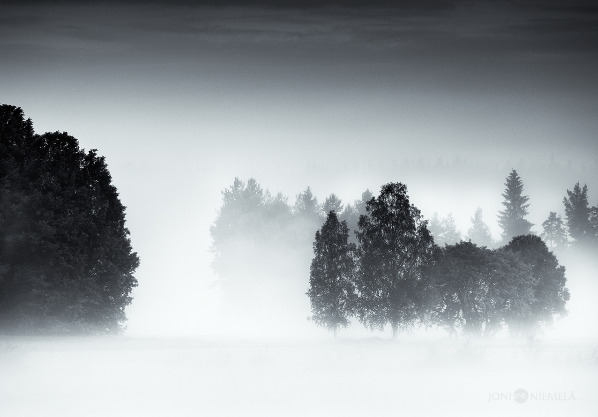 Nature finland mood atmospheric mist fog colorful bw fine art
