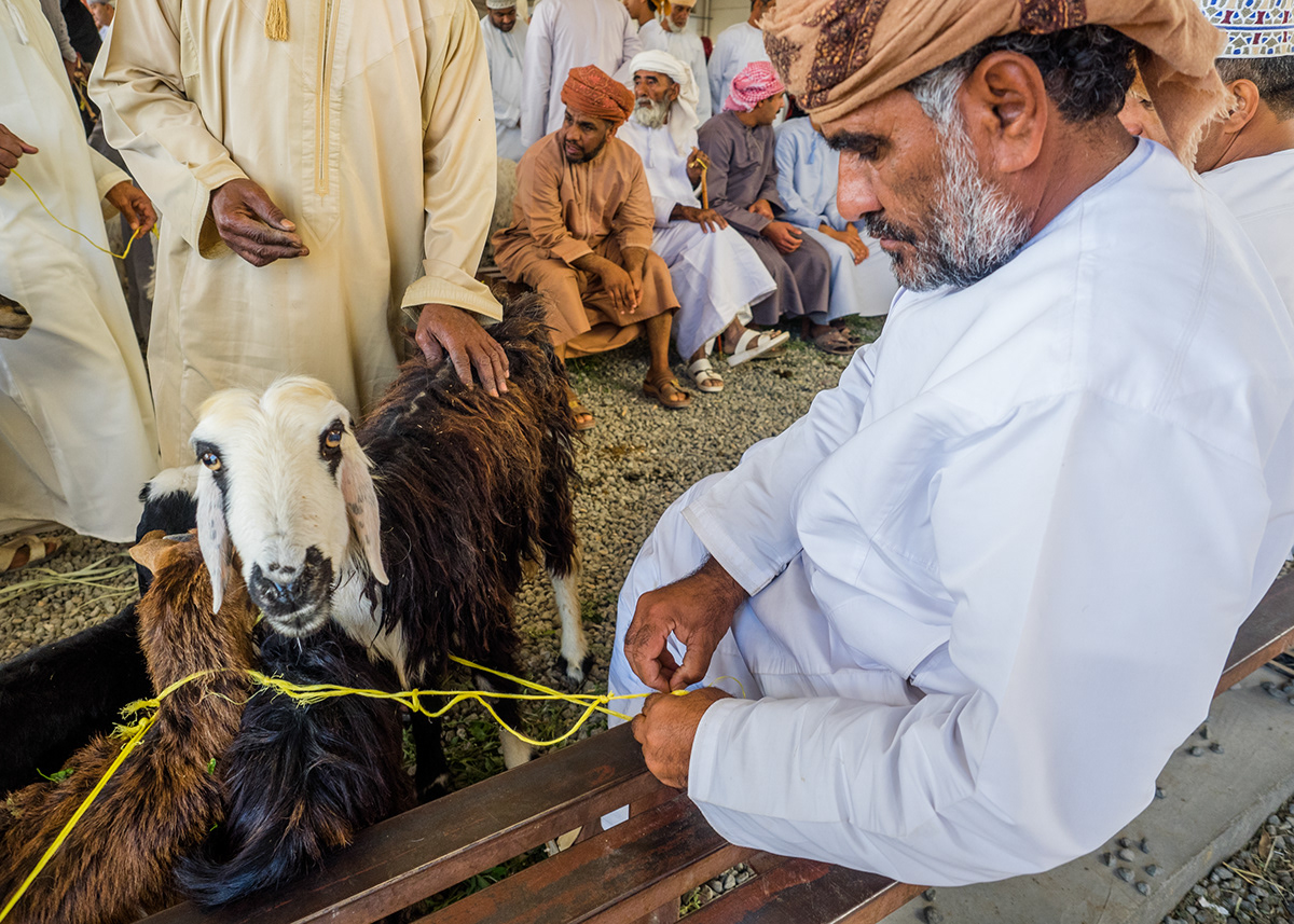 animals Arab arabic foodmarket market Oman oriental peoples suk Travel