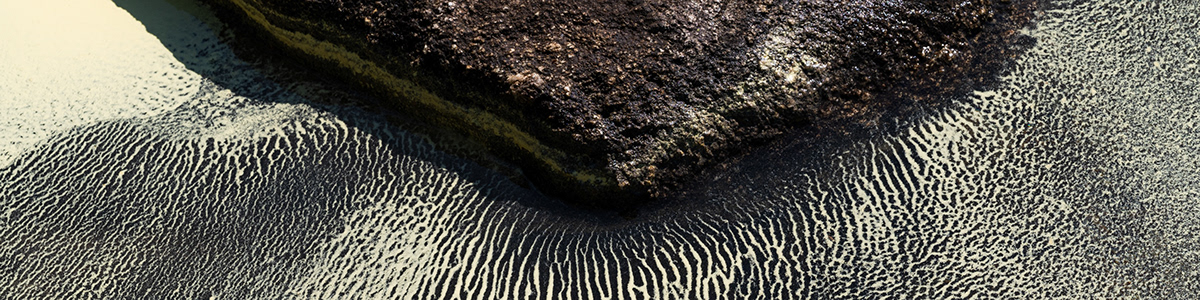 abstract Pollen pattern formation water macro texture norway thatbloom