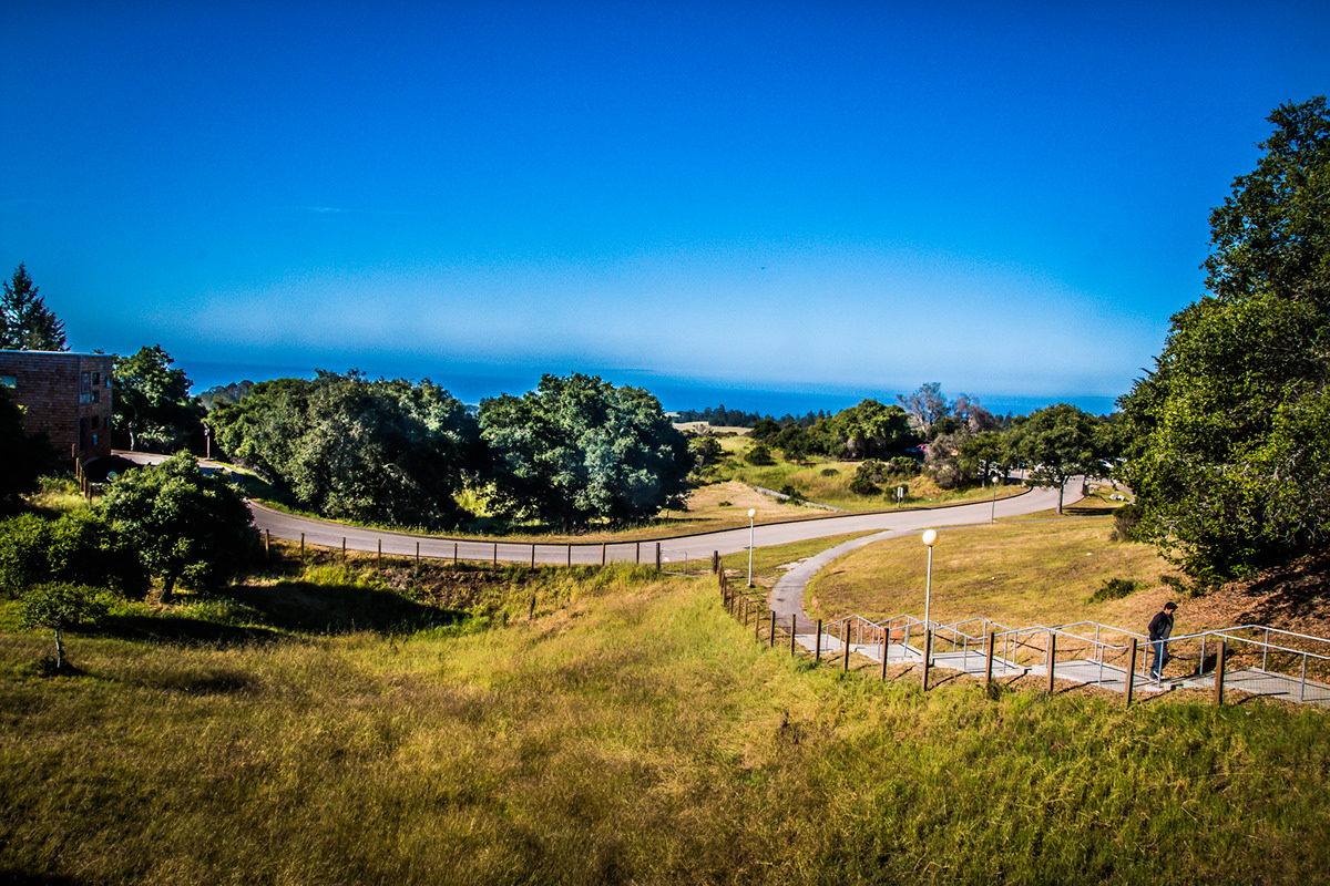 Adobe Portfolio SKY skies blue santa cruz UC Santa Cruz ucsc California Coast beach town