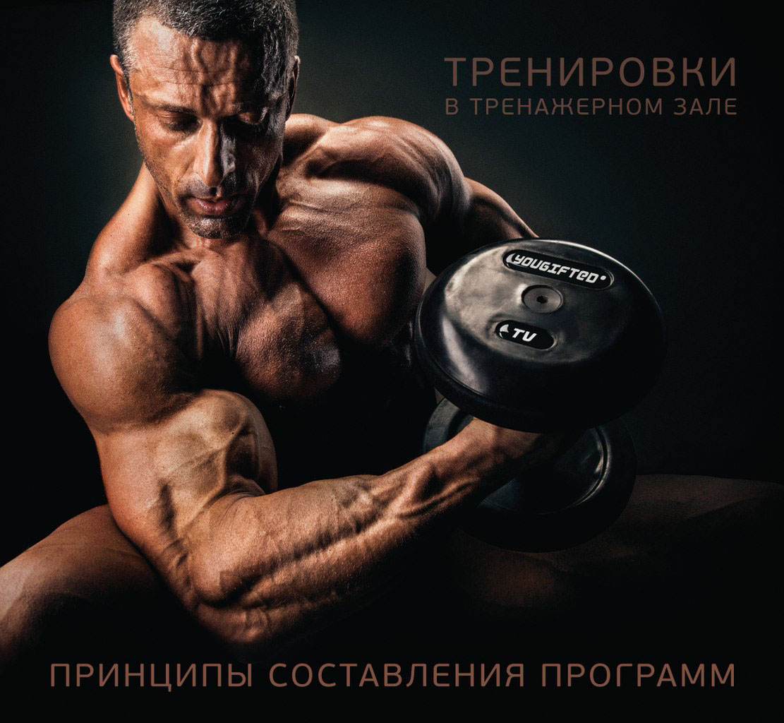 YOUGIFTED braidart.info Vadim Stein Petr Dmitriev Denis Davidov CD cover