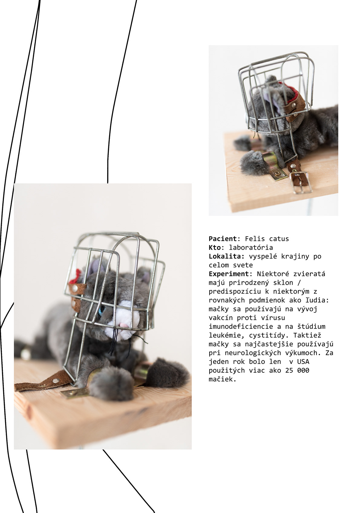 recycling toys animals object instalation interactive Exhibition 