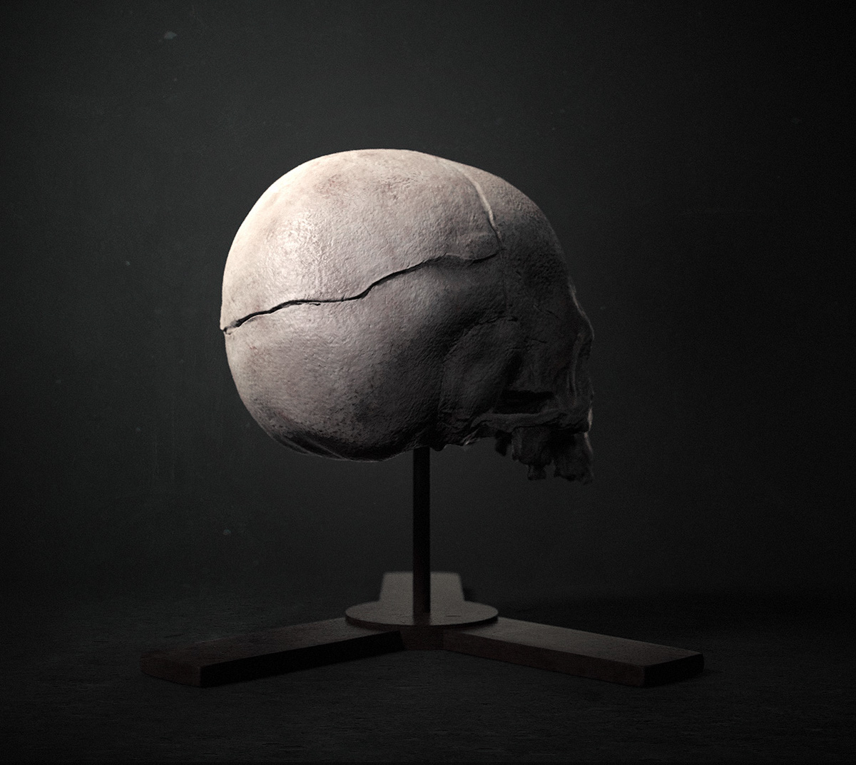 Zbrush skull anatomy study Sculpt Render Disease Syphilitic creature still life bones