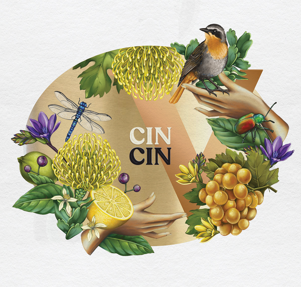 .champagne lable botanical illustration design digital painting ILLUSTRATION  Packaging realistic wine wine label