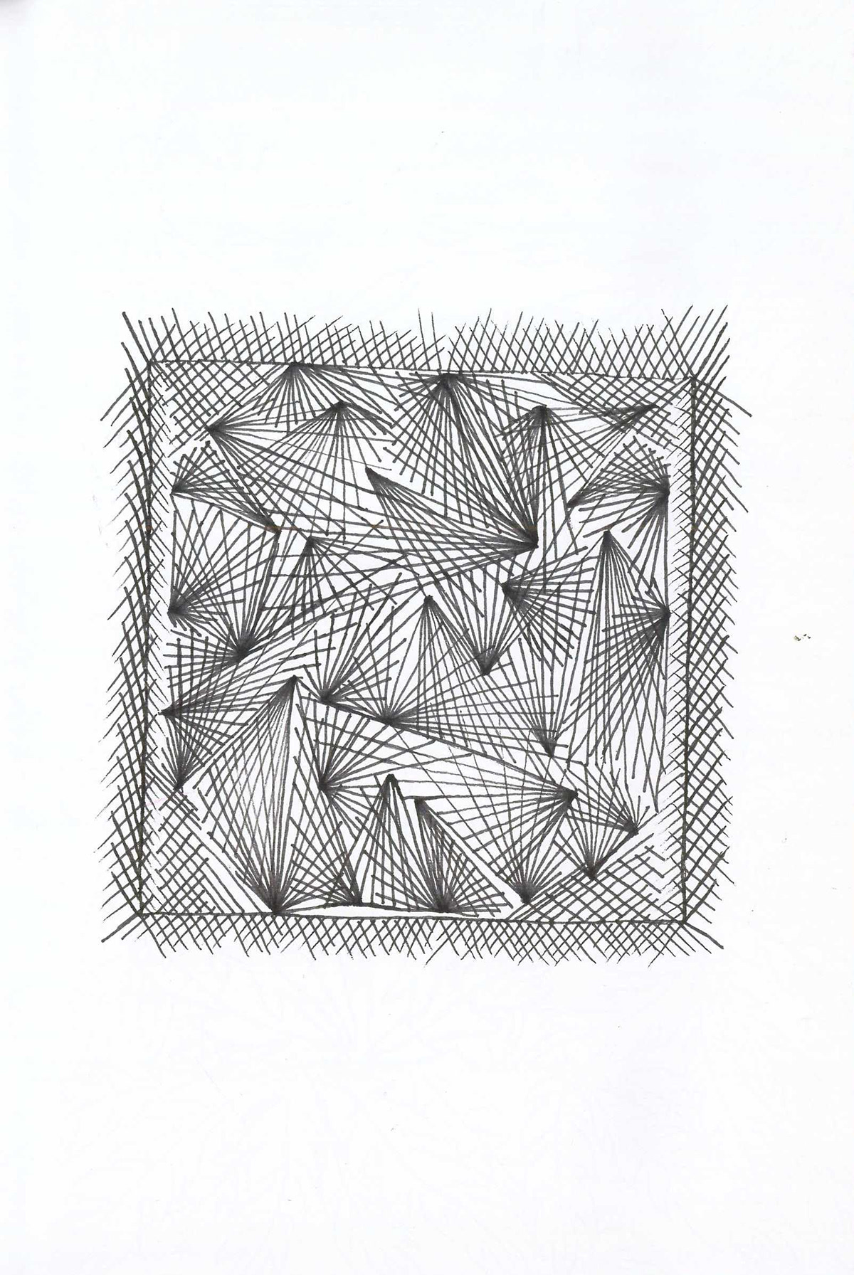 zentangle meditativeart fineline Patterns Swirls patterndesign flowerpattern abstract linework repetitive