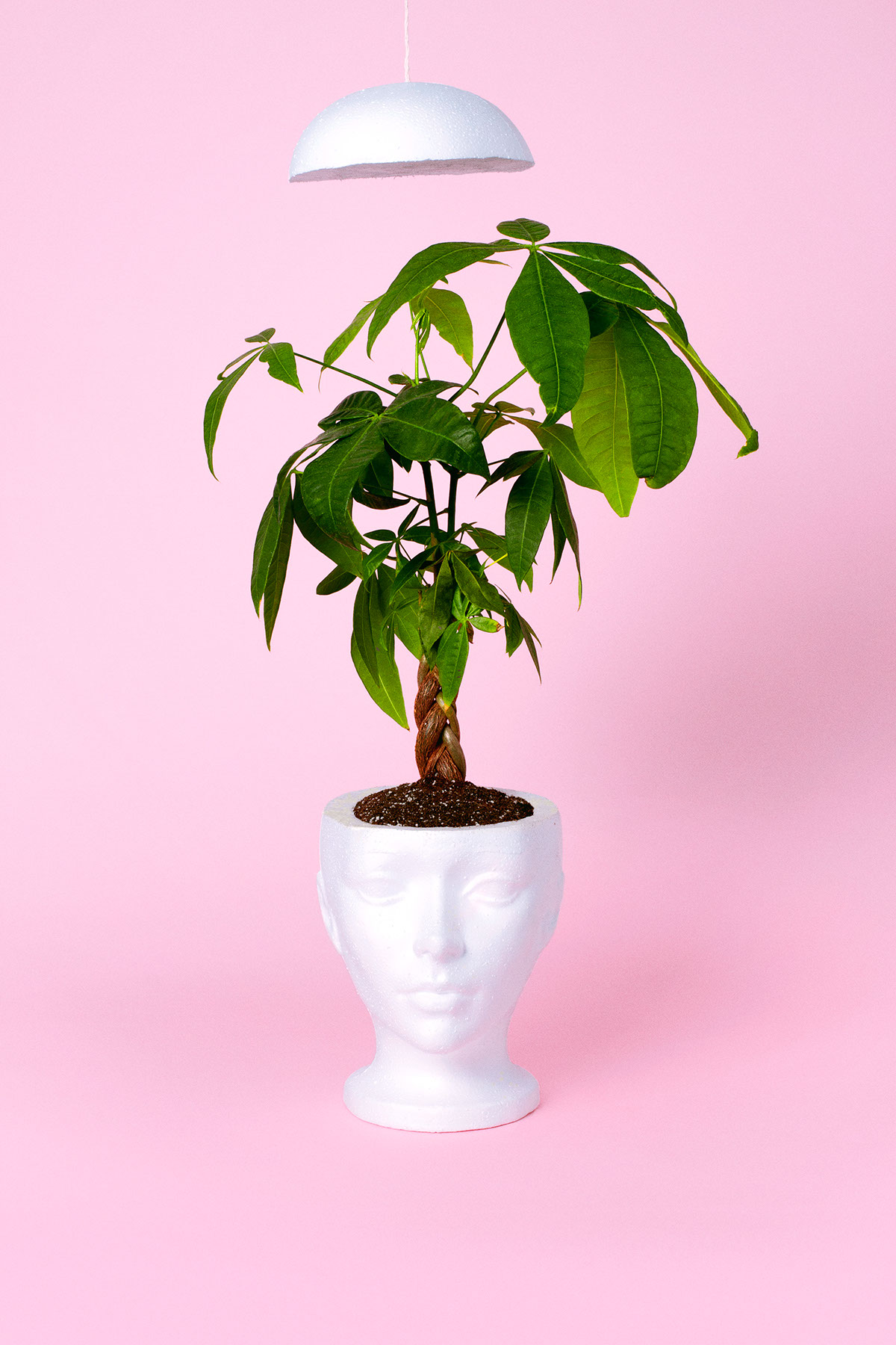 Plant 1F pink head tête humains green vert rose Events creative creatif evenement ideas idées