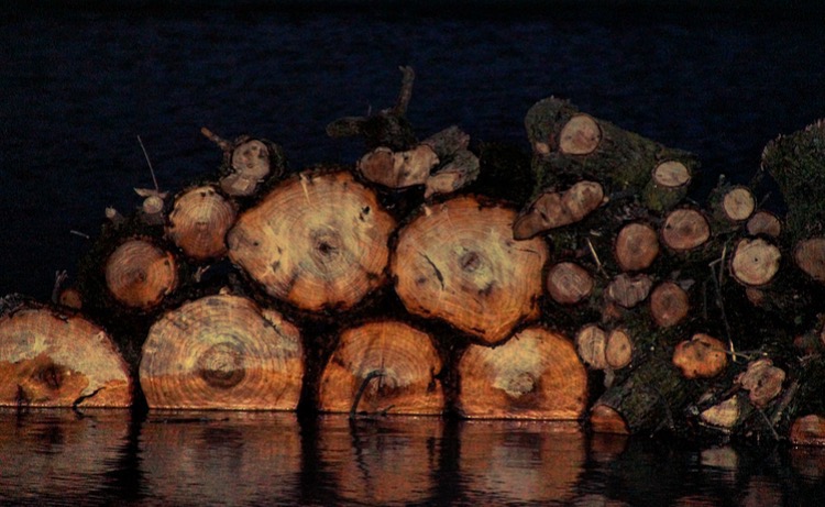 logs wood water Park