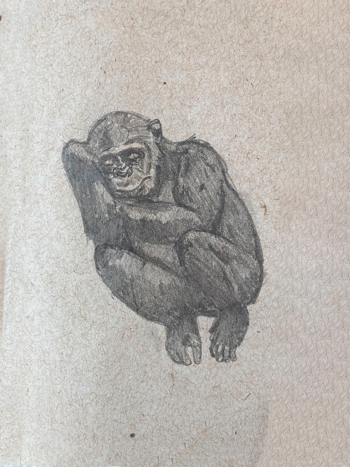 art artist artwork mandrill painting   primates watercolor