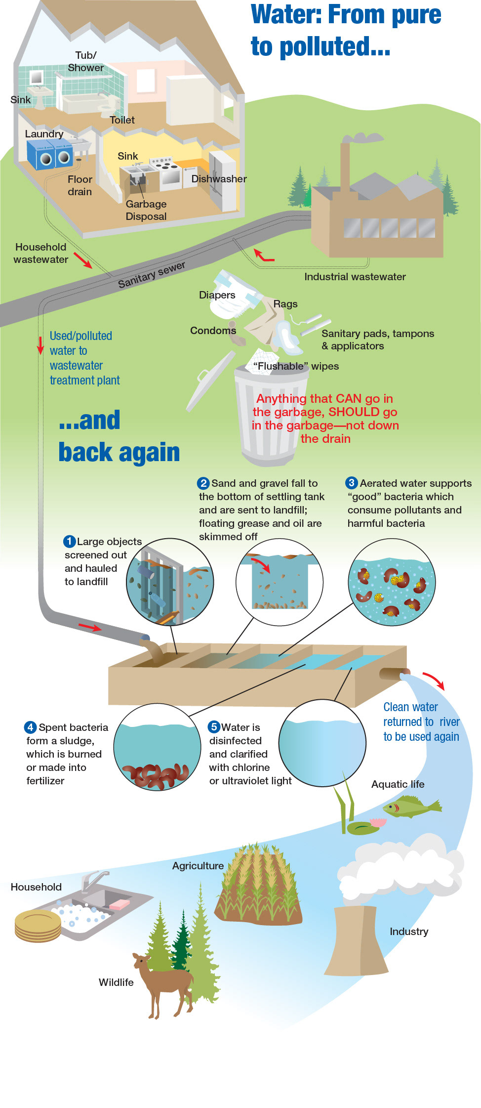 planning  Resources  infographic  natural resources  government  water conservation