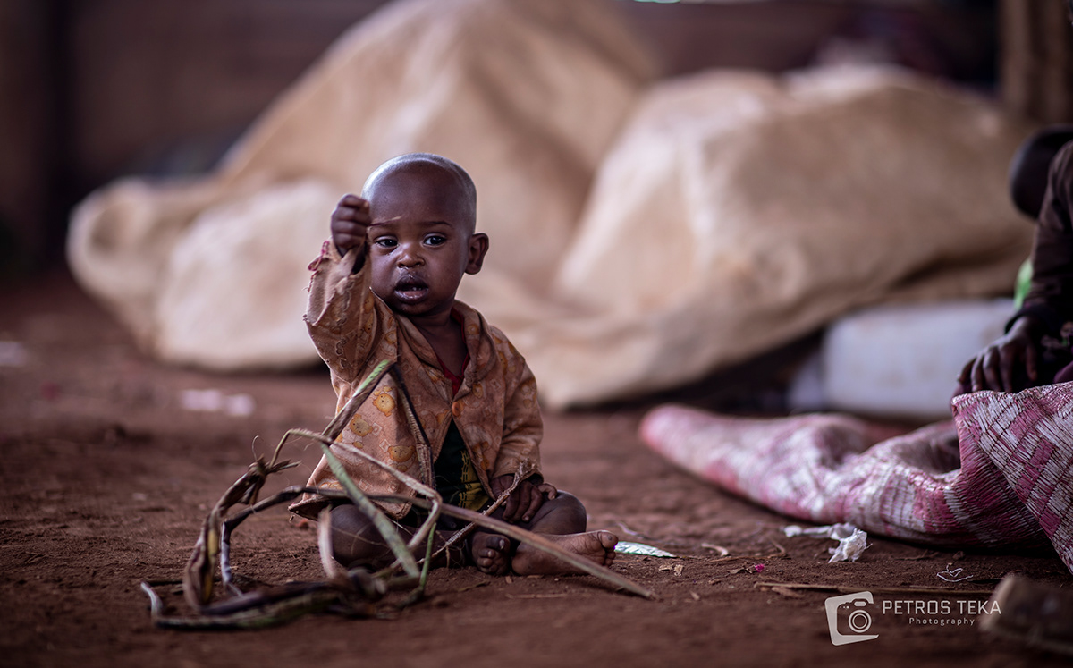 Humanitarian crisis internal displacement africa ethiopia Photography  history horn africa