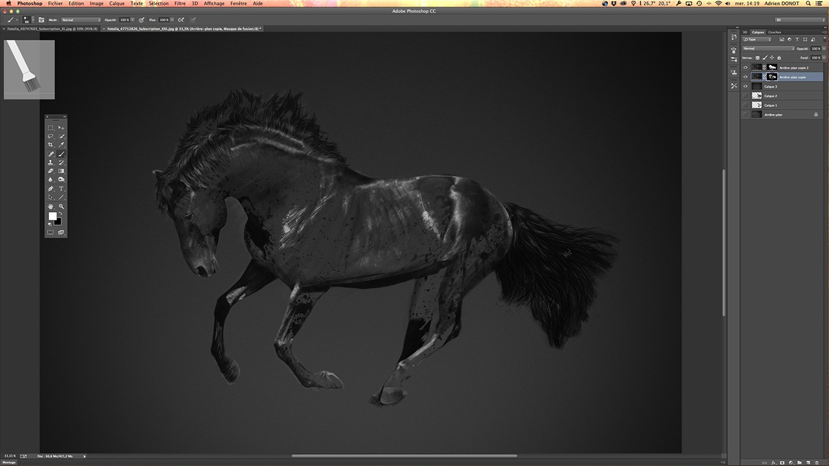 Adobe Portfolio horse horses pulssart