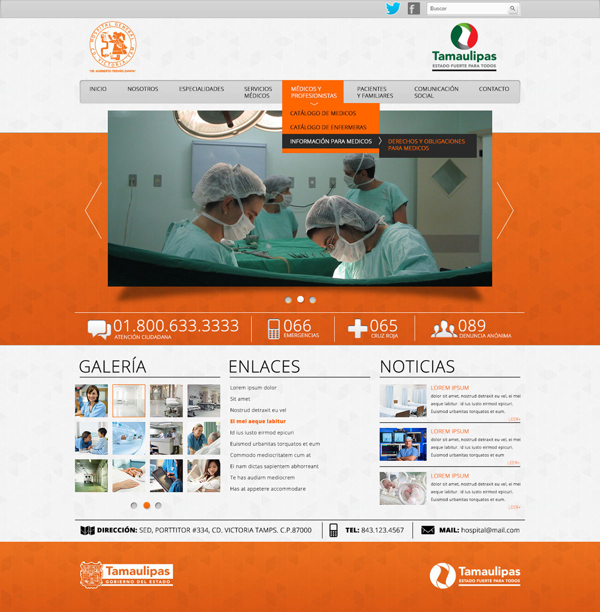 diseño Web hospital tamaulipas mexico zombie designer