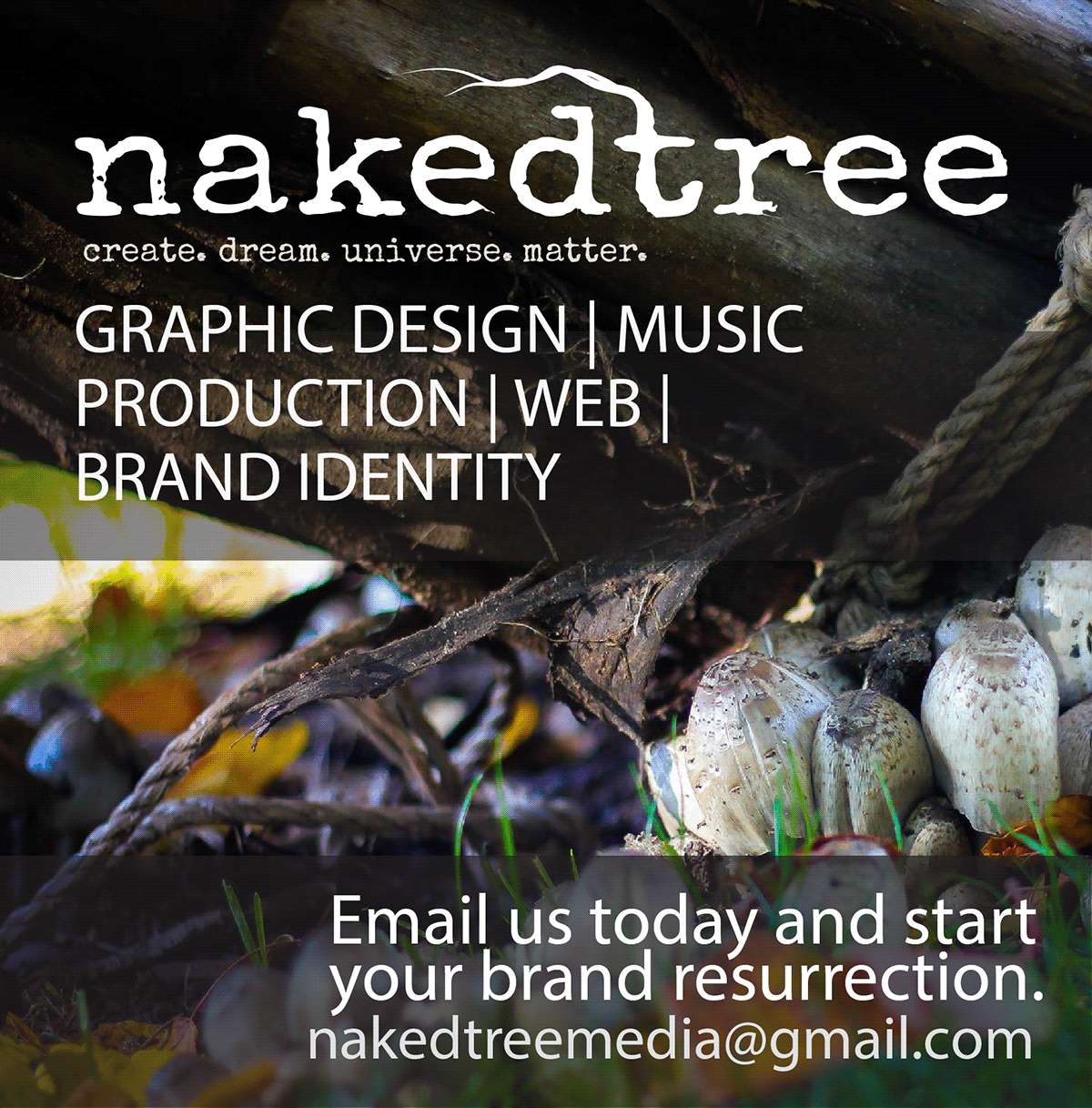 Naked Tree Media company re-branding Ty Max Tekavec Online Advertising social media advertising logos Facebook promotion design wicked garden nightclub Logo Design Company Branding