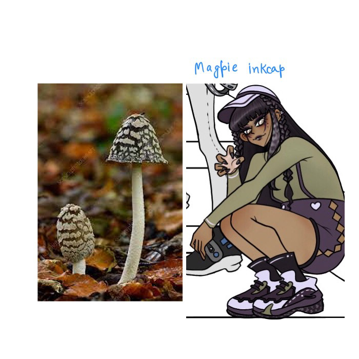 digital illustration Character design  personification Mushrooms