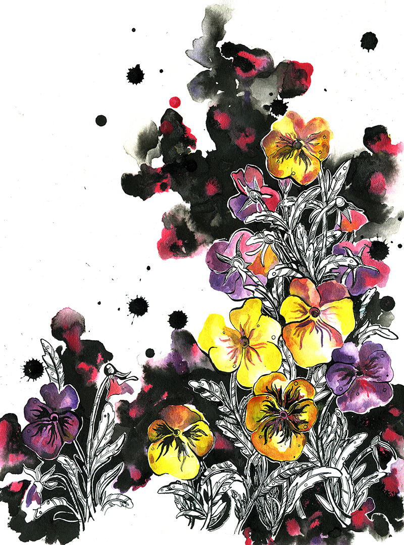 ink Flowers watercolor poppy Thistle pansy ink drawing flowers drawing  watercolor flowers