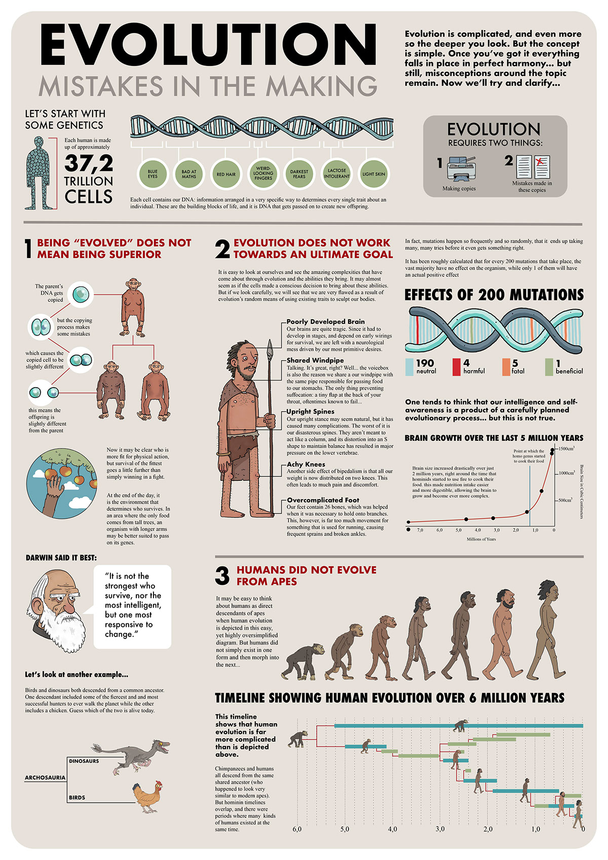 evolution infographic natural selection DNA