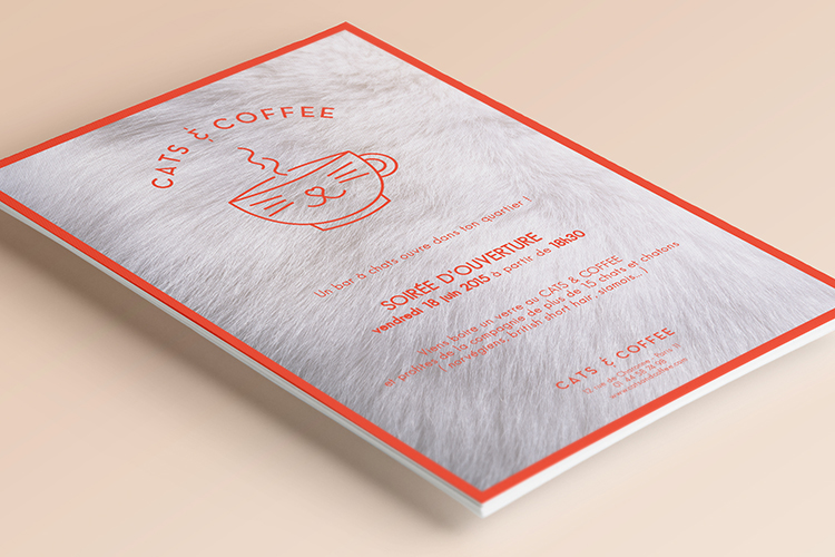 identity Cat Coffee restaurant blood orange organe red flyer menu design moodboard cocooning cosy Fur White