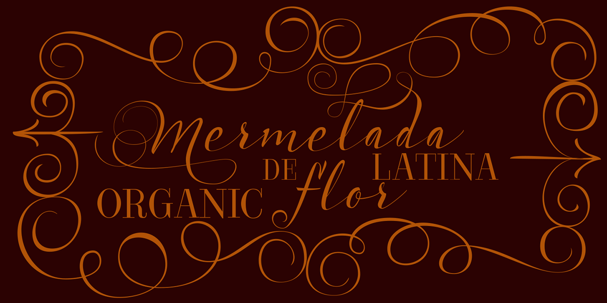 hermoso caligrafico cursivo decorativo Didone Didot visualizacion elegante girly escritura escrito alto