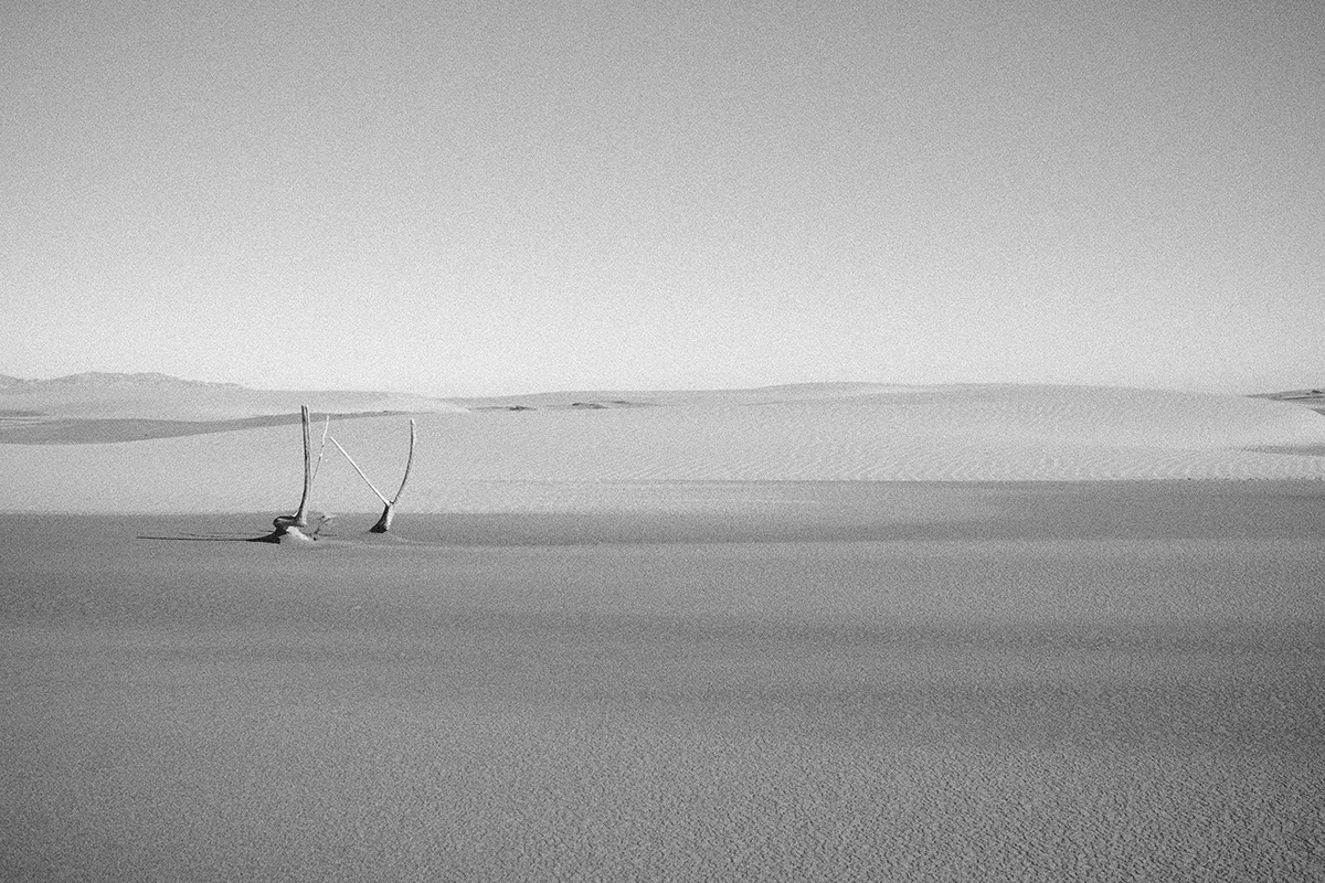 photo black and white desert catalonia Delta de l'Ebre faro