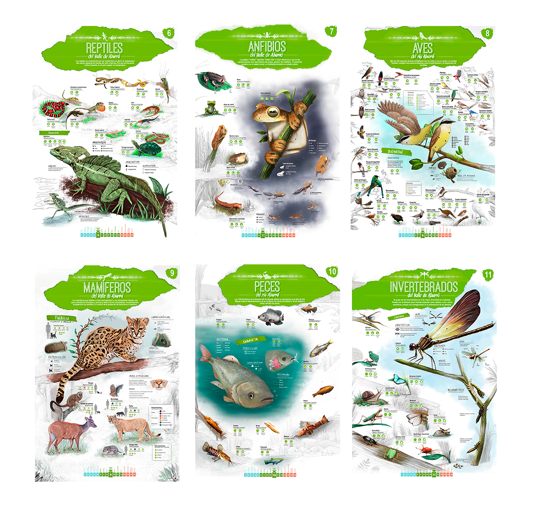 medellin Parque Explora Explora infográficos infografia animals river information visual arts