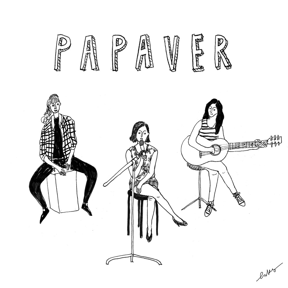 album cover Album design papaver ink drawing