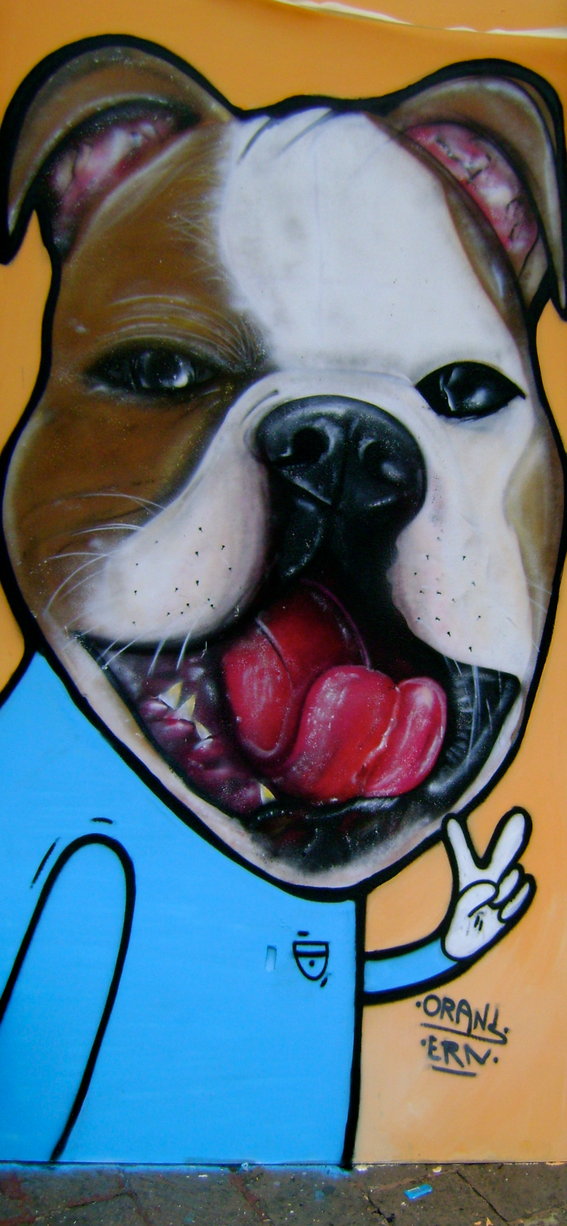#graffiti #Tiempodeperros #Mascotas #dogs #street art #Calle #Mexico   #Querétaro