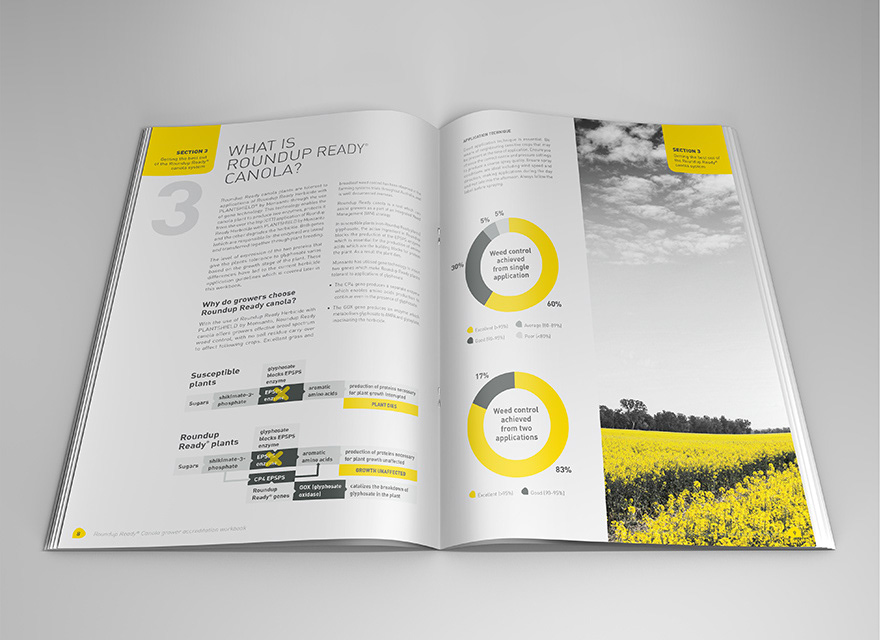 Canola book brochure type heavy modern simple yellow