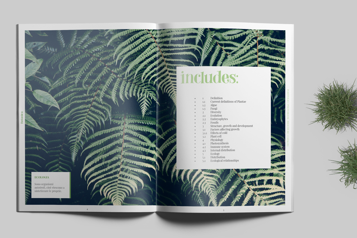 Publications magazine portfolio Hipster Photography  Fashion  modern clean simplistic