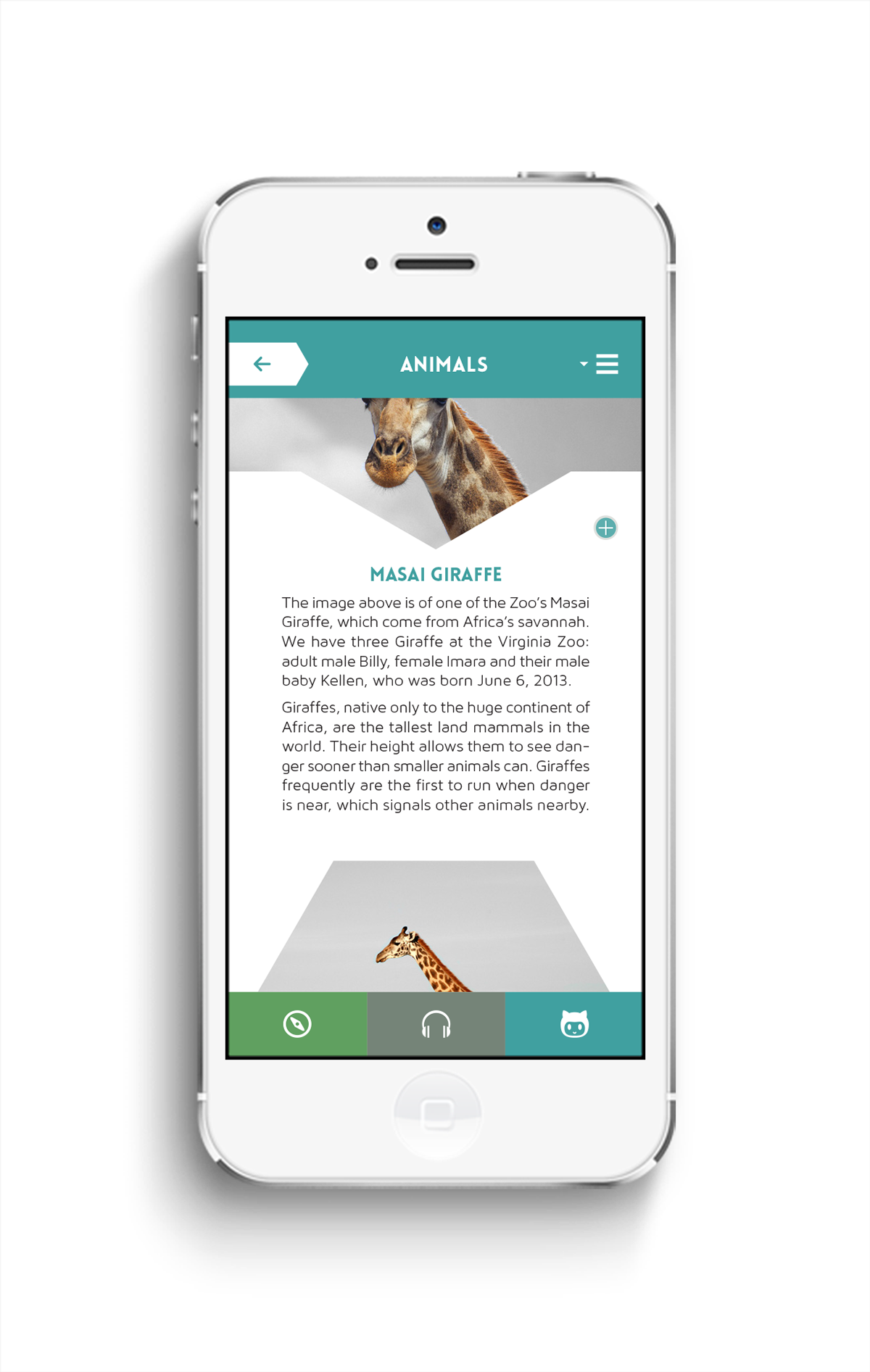 Virginia Zoo mobile app design app design Smartphone app iphone virginia zoo app