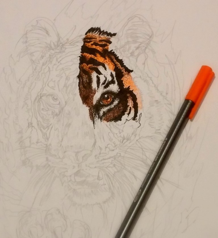 ArtofTOma art of toma tiger Tiger drawing how to draw Pointillism drawing a tiger tiger tattoo tattoo design tattoo drawing realistic realistic tiger orange