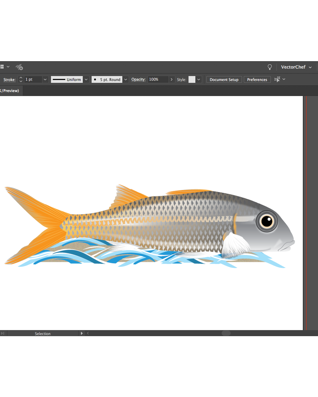oama goatfish vectorchef fishing Apparel Design vector