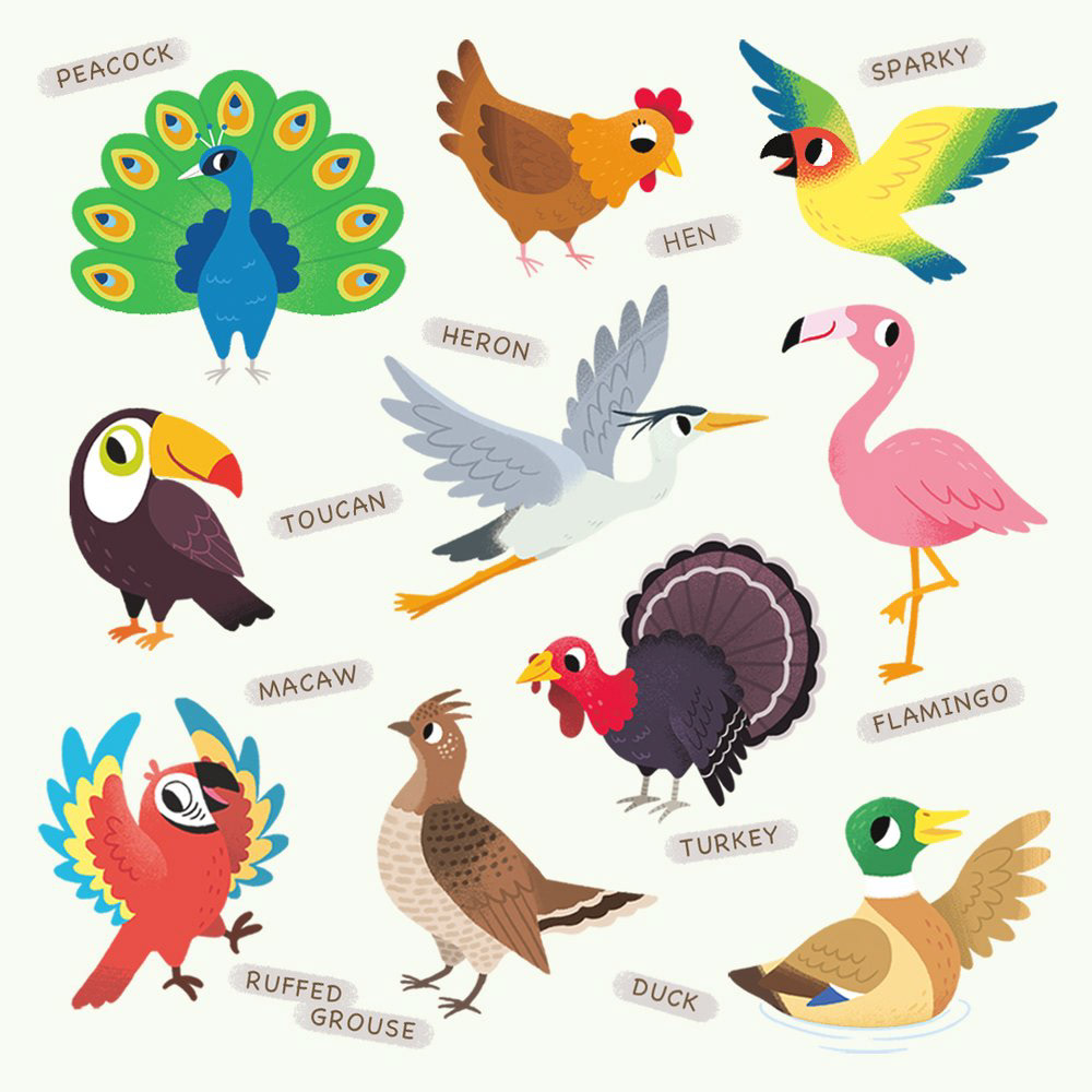 bird children's illustration kid's illustration