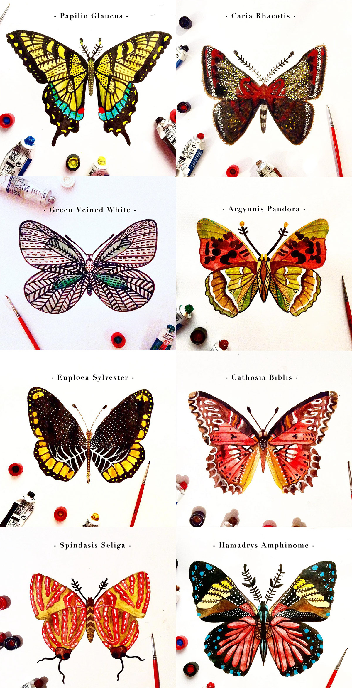 butterfly challenge fine art graphic design  ILLUSTRATION  melpomenichatzipanagiotou Nature painting   portrait