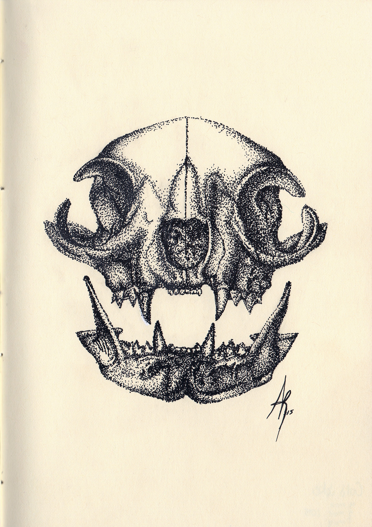Cat skull scientific illustration Flowers Pointillism puntillismo sketchbook ink staedtler